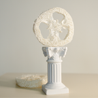 Натурална сапунерка - гъба луфа