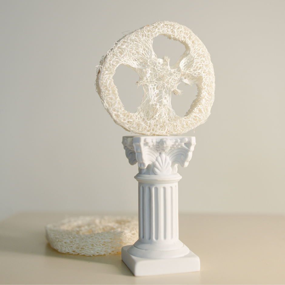 Натурална сапунерка - гъба луфа