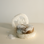 Натурална сапунерка - гъба луфа