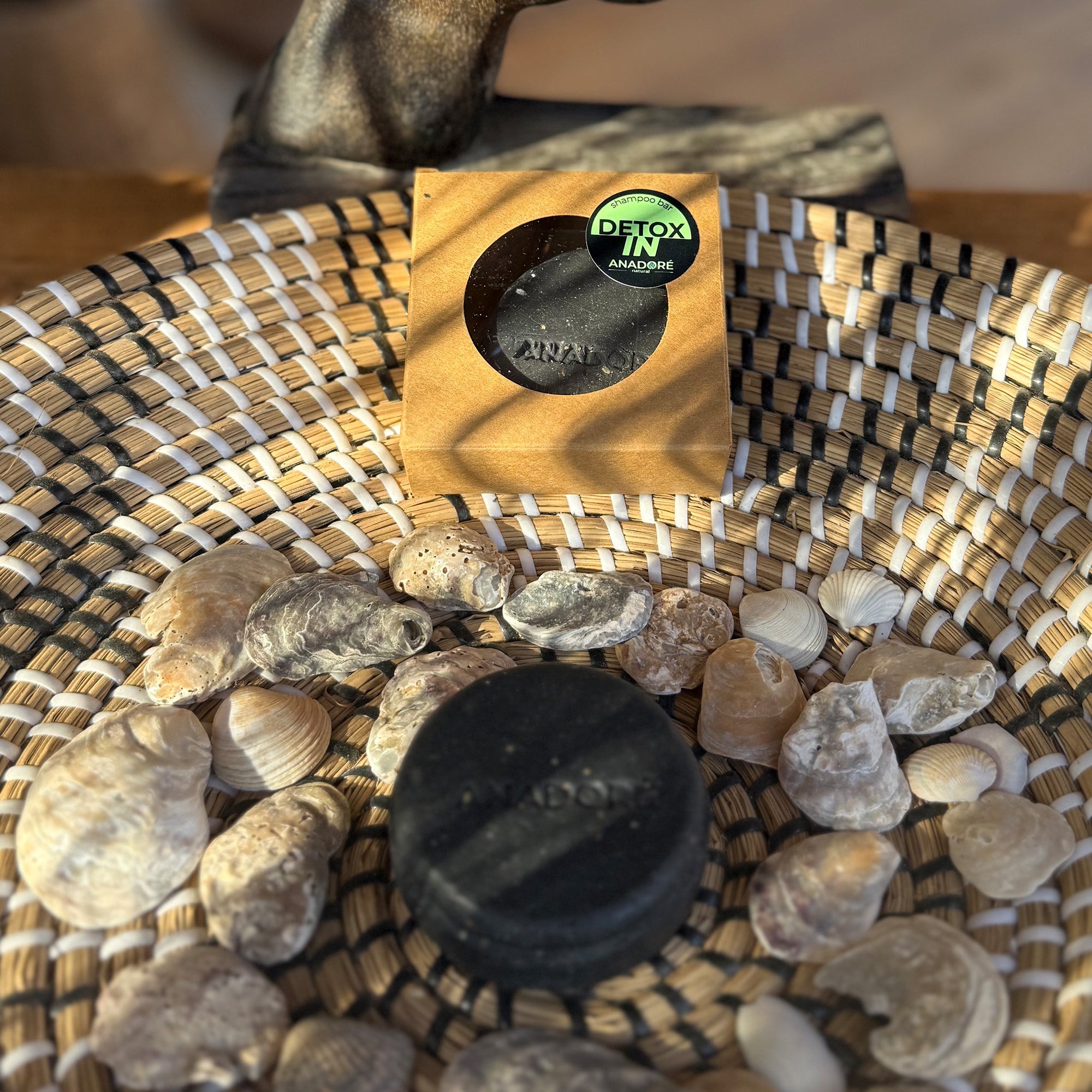 Detoxin | Multifunctional solid shampoo with charcoal